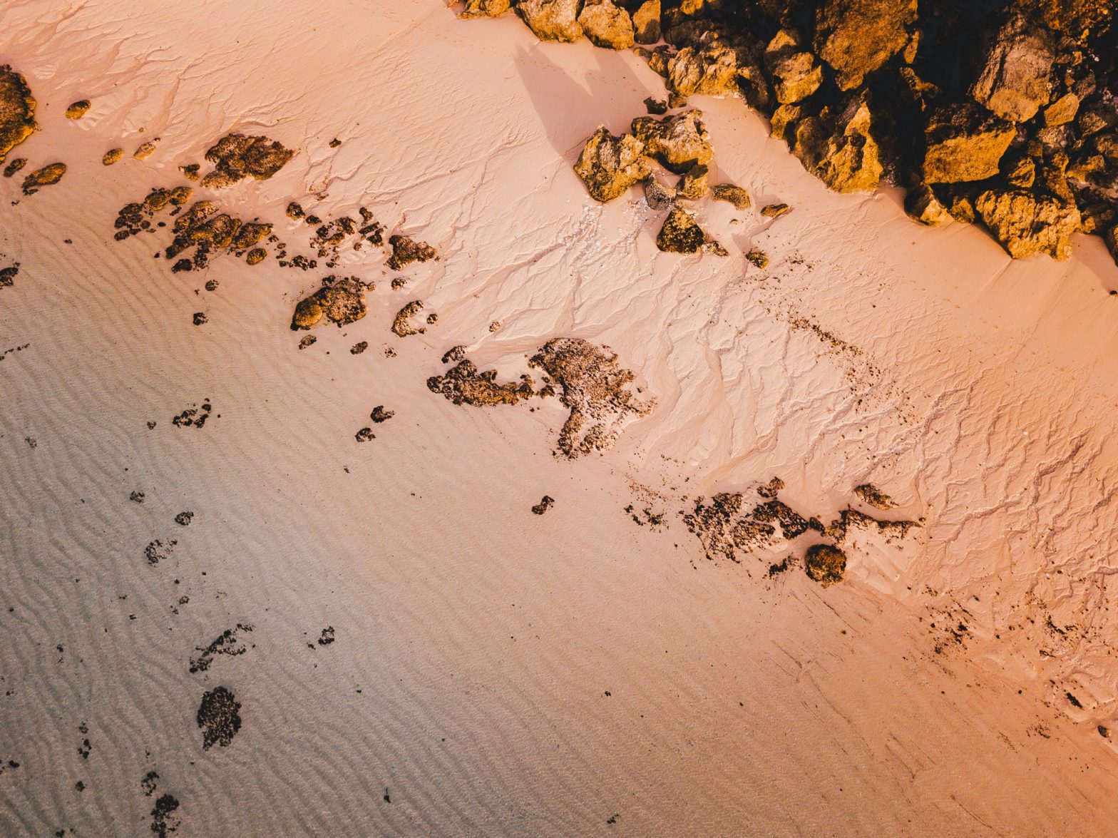 Aerial view of a beach at low tide