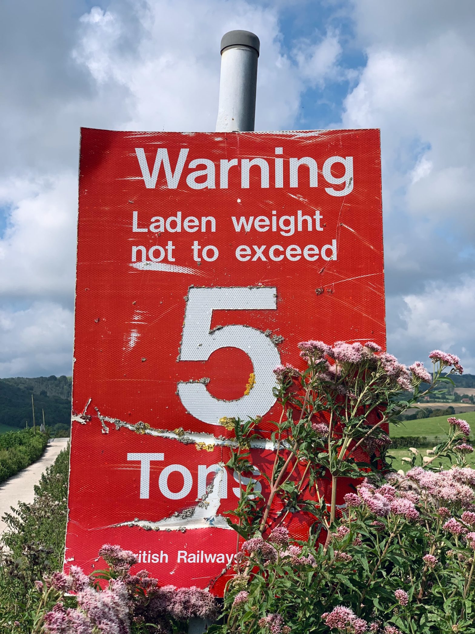 Red warning sign at a railway crossing that says: "Warning Laden weight not to exceed 5 Tons" framed by summertime flowers agains a backdrop of a blue sky