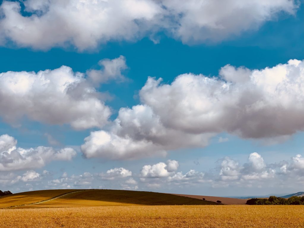Clouds in the bright blue sky over a rolling landscape and orange fields
