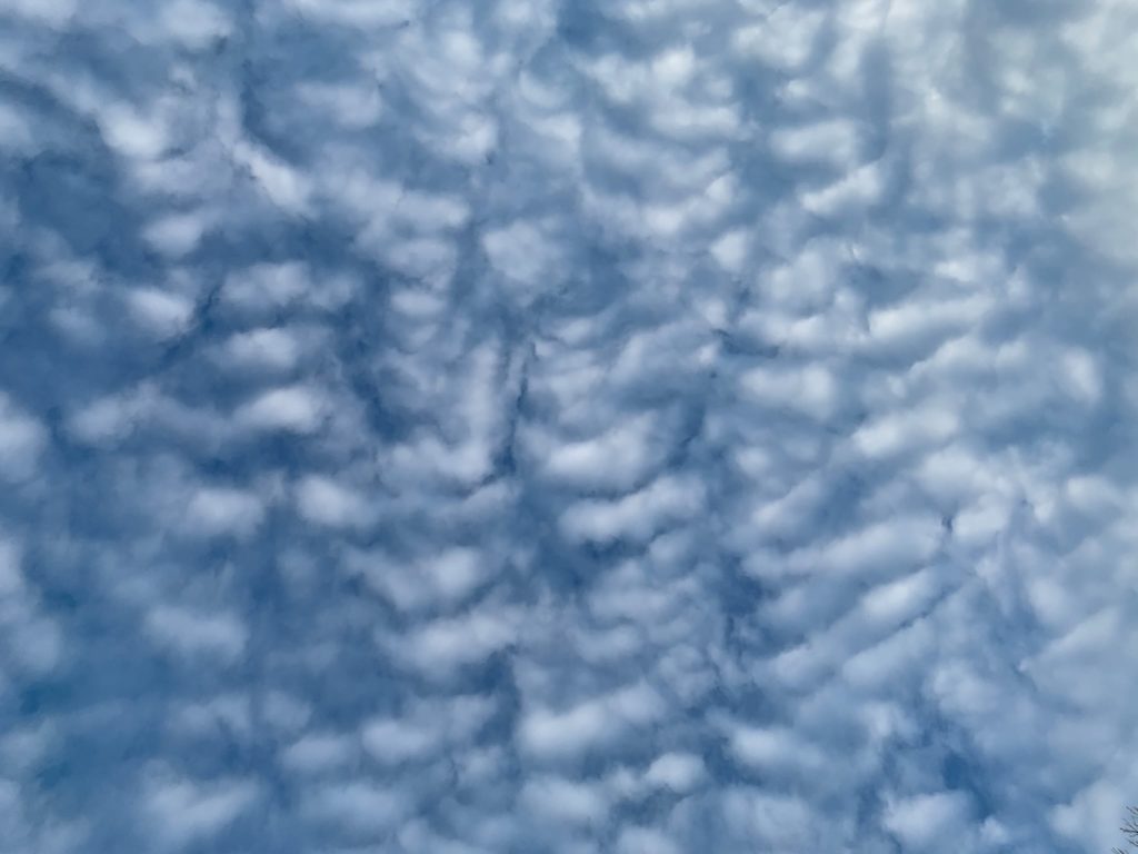 Scattered clouds in the sky