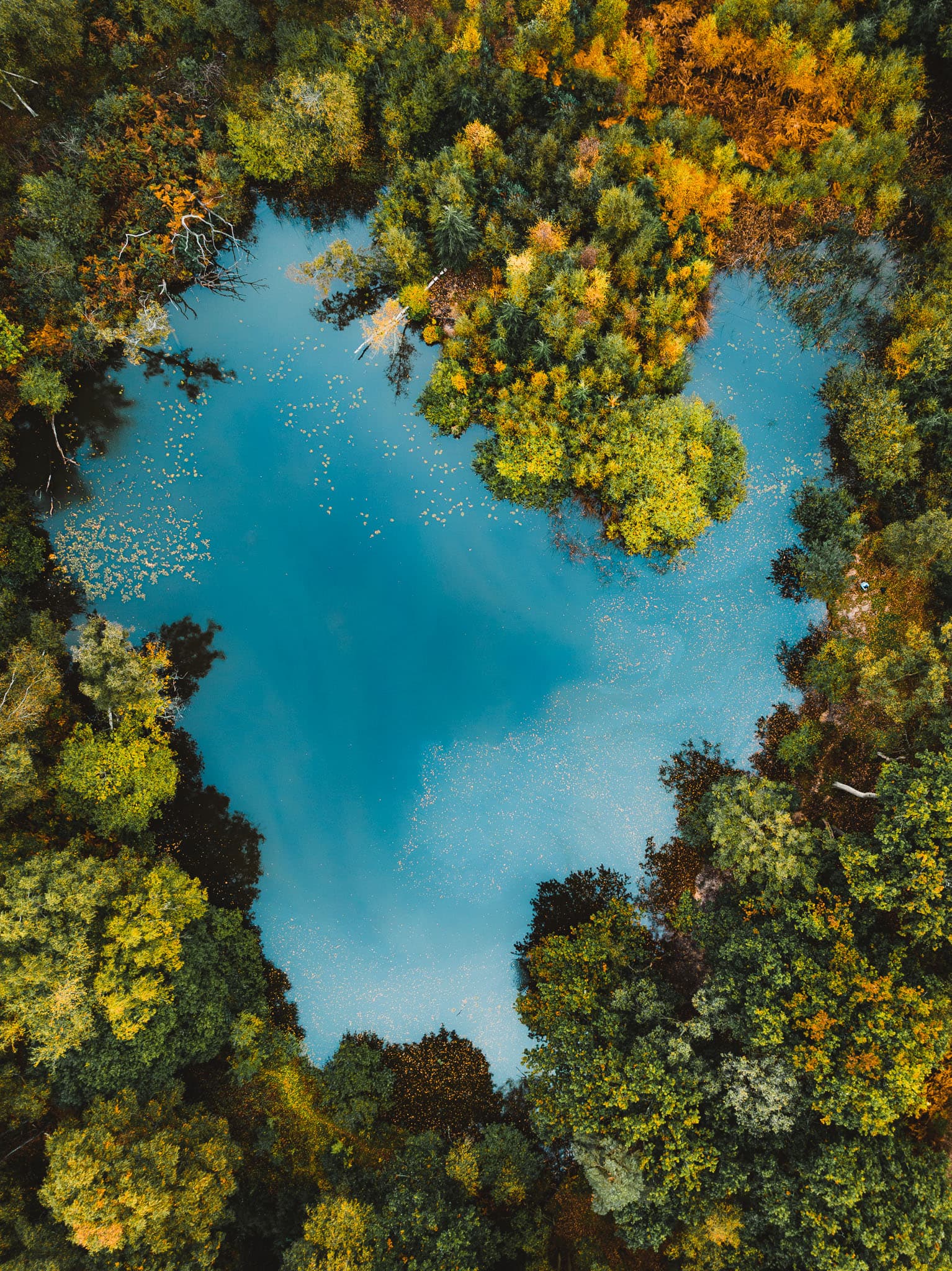 A top down aerial shot of a lake in a forest in shape vaguely resembling a blue heart with the sky reflected in the murky waters and framed by autumn foliage in deep colours of green, yellow and orange